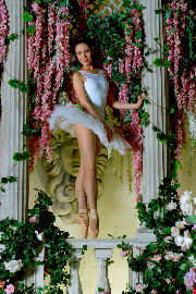 Ballerina - storm of femininity and sexuality <a href='https://www.romantikov.info/?p=albums&set=irina_p_studio&image=27721218039'>☰</a>
