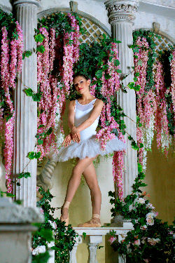 Ballerina - storm of femininity and sexuality <a href='/?p=albums&gallery=sport_dance&image=28336976839'>⛶</a>
