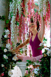 Ballerina - storm of femininity and sexuality <a href='https://www.romantikov.info/?p=albums&set=irina_p_studio&image=39384175554'>☰</a>