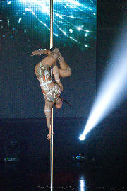 Zodiac X Space 2024 <a class='py-1 my-1 px-3 badge badge-dark material-icons' href='/?p=albums&gallery=events&image=4705543059294632163'>link</a>