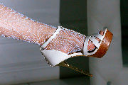 Toma: white fishnets <a href='https://www.romantikov.info/?p=albums&set=toma_kitsune_studio_4&image=49485698668'>⛶</a>