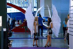 Lera and Katya, InterAuto'2019 <a href='/?p=albums&gallery=indoor&image=49668886836'>⛶</a>