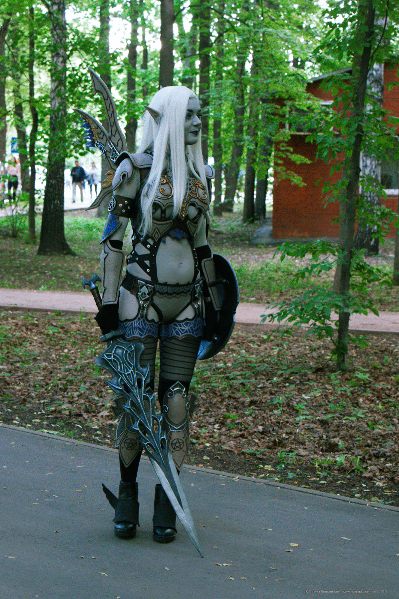 Lineage II Shillien Knight cosplay