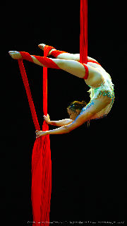 Catwalk Dance Festival 11/2023 <a href='/?p=albums&gallery=sport_dance&image=53592250707'>⛶</a>