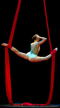 Catwalk Dance Festival 11/2023 <a href='/?p=albums&gallery=sport_dance&image=53593122306'>⛶</a>
