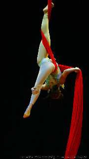 Catwalk Dance Festival 11/2023 <a href='/?p=albums&gallery=sport_dance&image=53593569035'>⛶</a>
