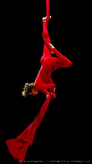 Catwalk Dance Festival 11/2023 <a href='/?p=albums&gallery=sport_dance&image=53594951469'>☰</a>