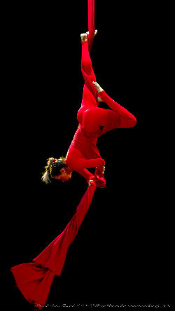 Catwalk Dance Festival 11/2023 <a href='/?p=albums&gallery=sport_dance&image=53594951469'>⛶</a>