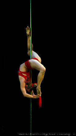 Catwalk Dance Festival 11/2023 <a href='/?p=albums&gallery=sport_dance&image=53598005347'>⛶</a>