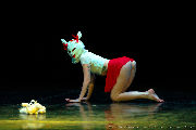 Catwalk Dance Festival 11/2023 <a href='/?p=albums&gallery=catwalkdancefest&image=53603290354'>☰</a>