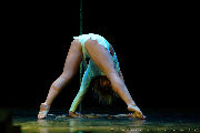 Catwalk Dance Festival 11/2023 <a href='/?p=albums&gallery=barelegs&image=53608435647'>☰</a>