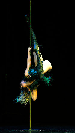 Catwalk Dance Festival 11/2023 <a href='/?p=albums&gallery=sport_dance&image=53628740556'>⛶</a>