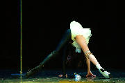 Catwalk Dance Festival 11/2023 <a href='/?p=albums&gallery=catwalkdancefest&image=53639036531'>☰</a>