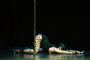 Catwalk Dance Festival 11/2023 <a href='/?p=albums&gallery=sport_dance&image=53648163231'>☰</a>