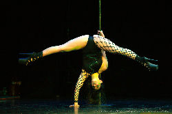 Catwalk Dance Festival 11/2023 <a href='/?p=albums&gallery=sport_dance&image=53648626525'>⛶</a>