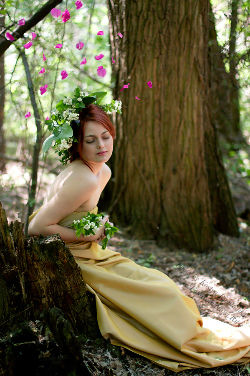 Spirit of the Forest <a href='/?p=albums&gallery=outdoor&image=6229967173'>⛶</a>