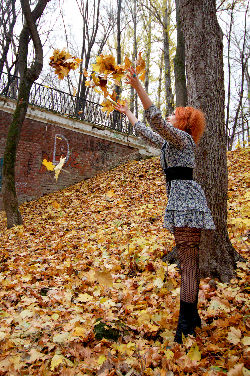Toma, old park bridge <a href='/?p=albums&gallery=outdoor&image=6927978765'>⛶</a>