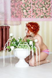 Toma, flower feeling